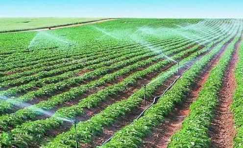 被学员干免费视频农田高 效节水灌溉